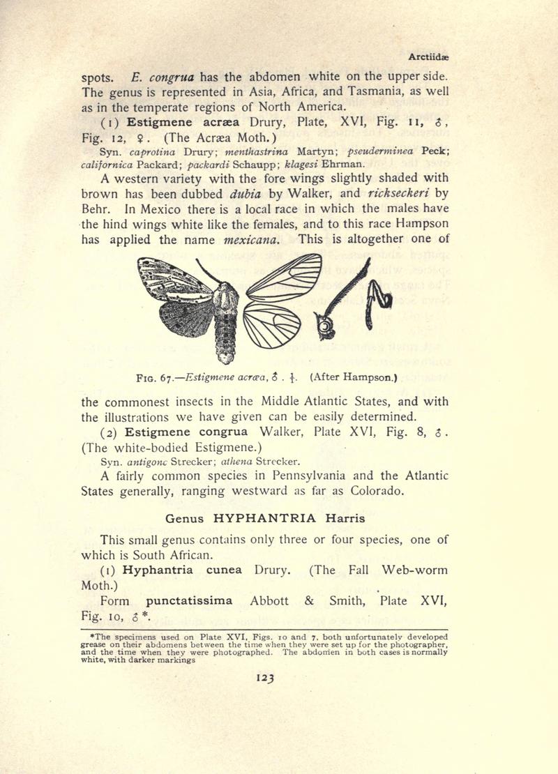 The moth book (Page 123, Fig. 67) BHL21853076