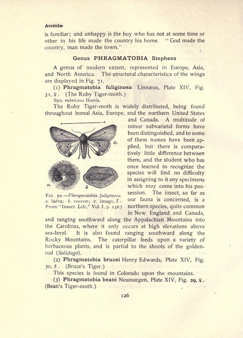 The moth book (Page 126, Fig. 70) BHL21853079