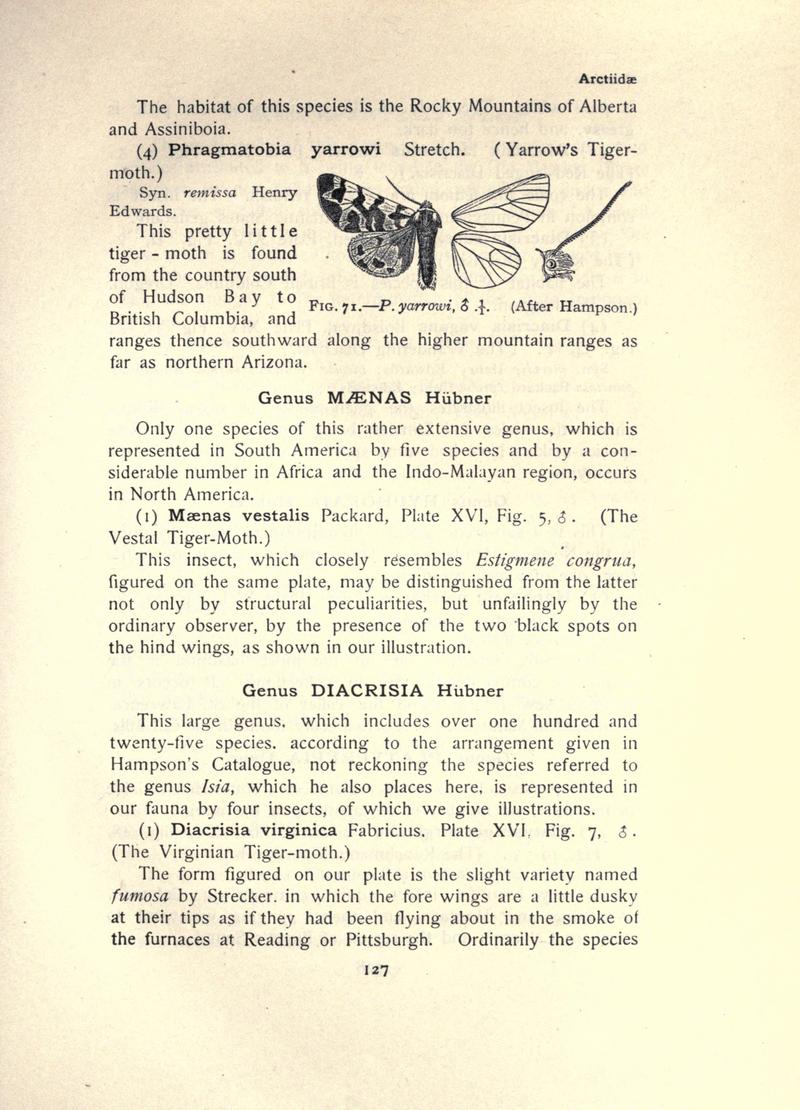 The moth book (Page 127, Fig. 71) BHL21853080