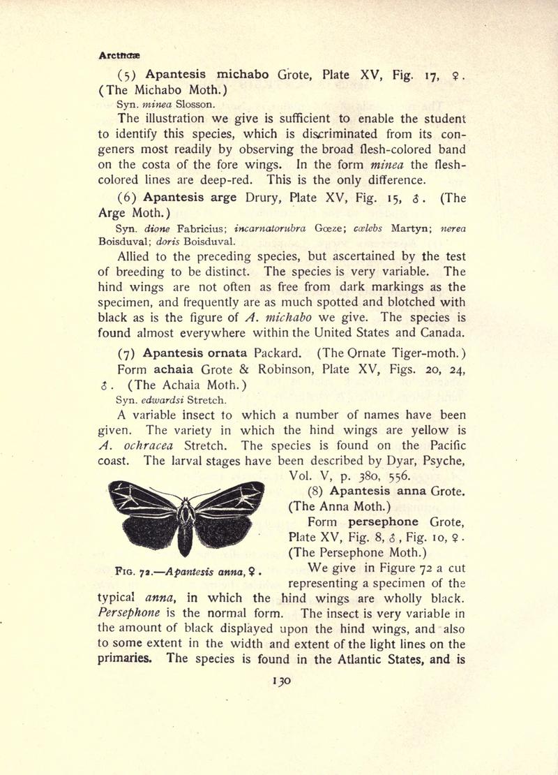 The moth book (Page 130, Fig. 72) BHL21853083