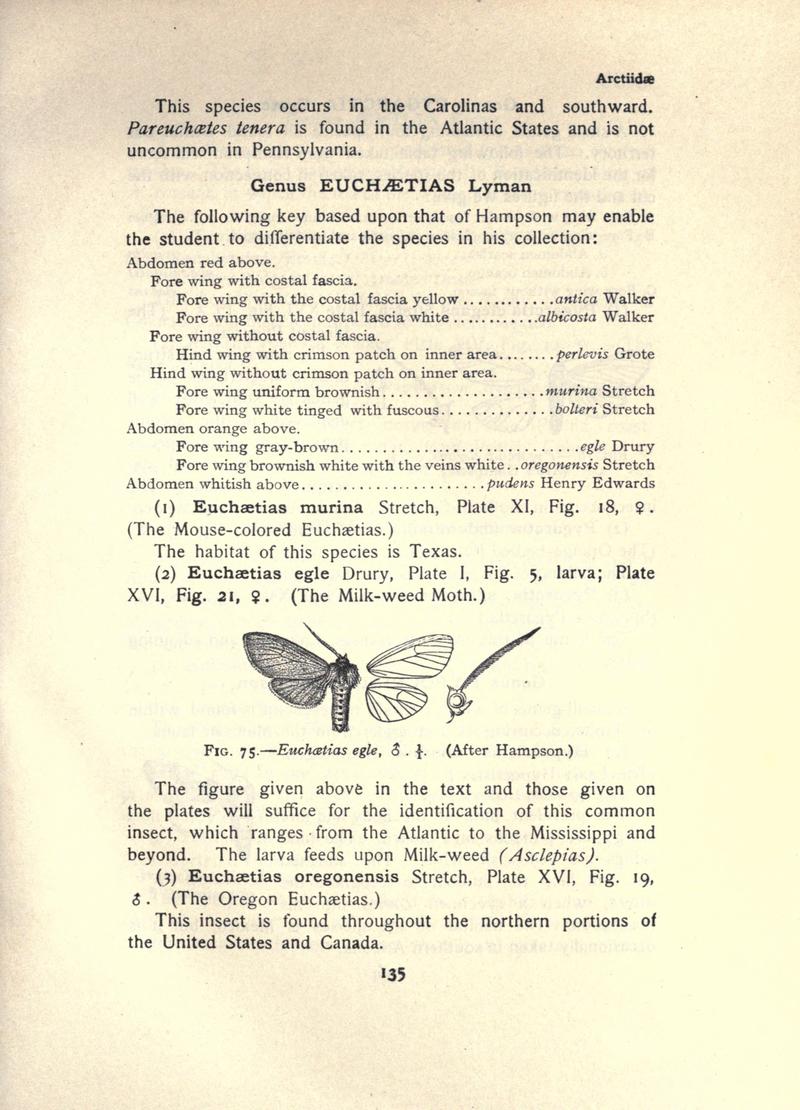 The moth book (Page 135, Fig. 75) BHL21853092