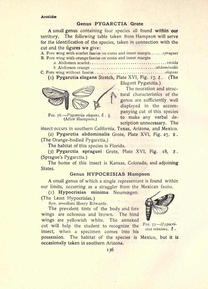 The moth book (Page 136, Figs. 76-77) BHL21853093