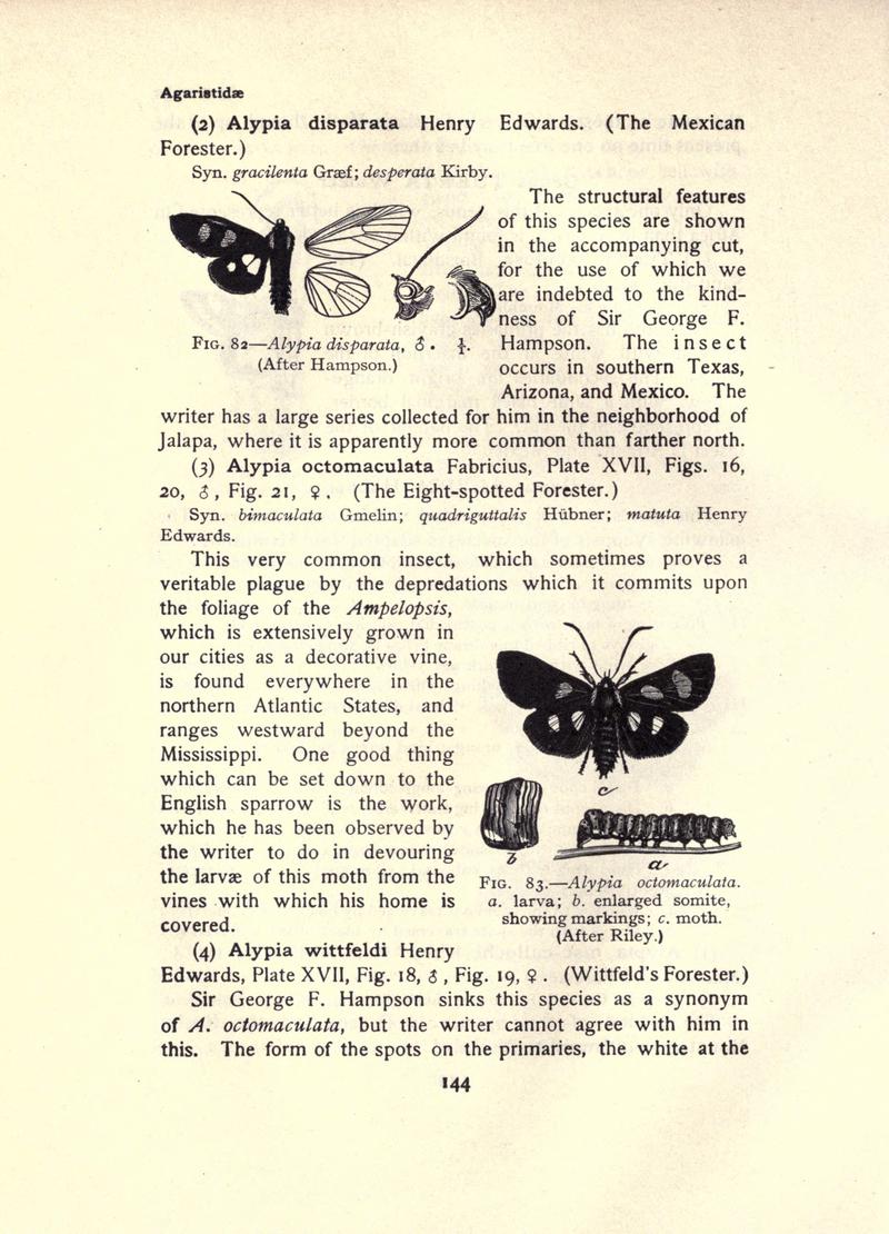 The moth book (Page 144, Figs. 82-83) BHL21853105