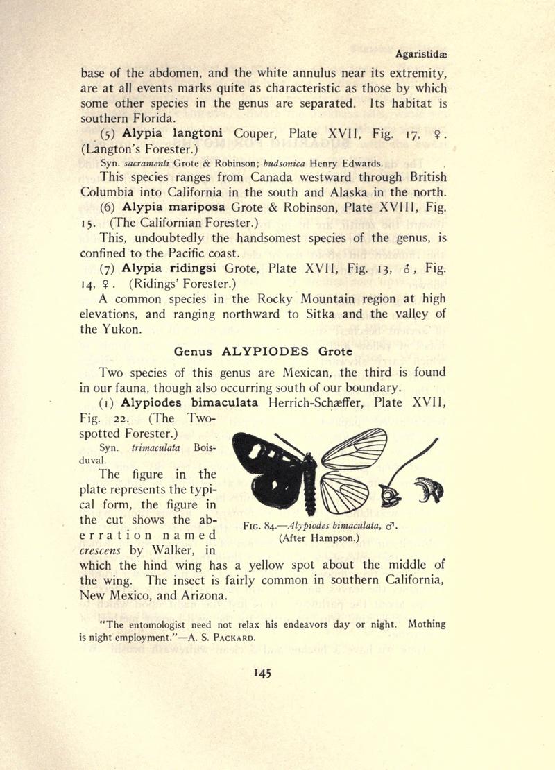 The moth book (Page 145, Fig. 84) BHL21853106