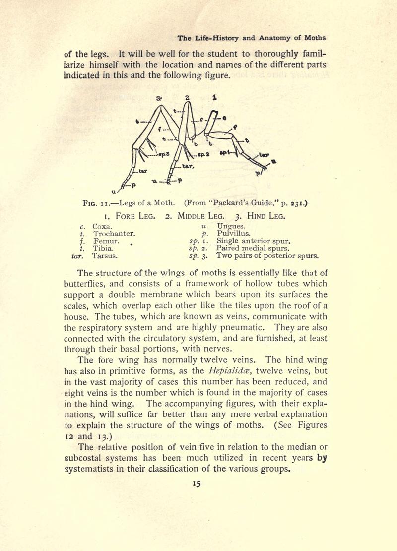 The moth book (Page 15, Fig. 11) BHL21852893