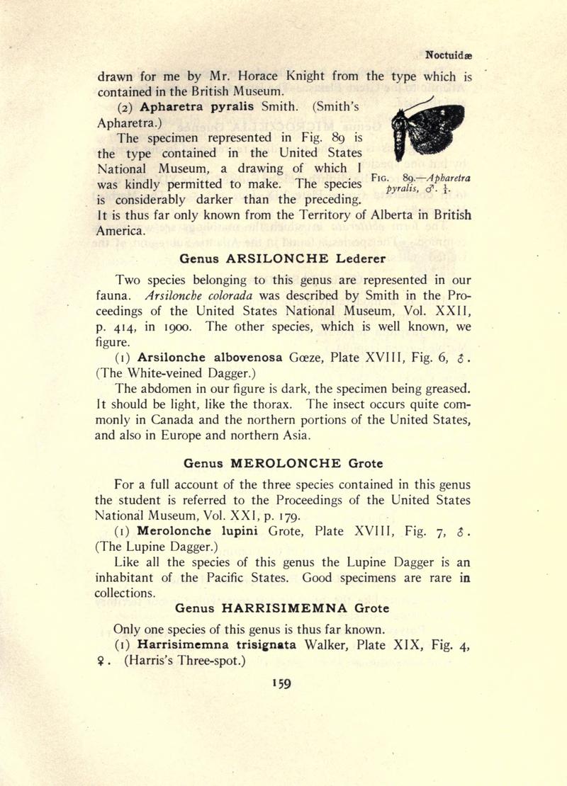 The moth book (Page 159, Fig. 89) BHL21853124
