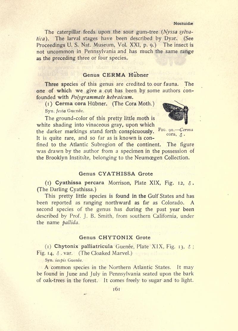 The moth book (Page 161, Fig. 90) BHL21853126