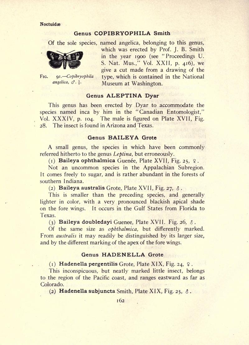The moth book (Page 162, Fig. 91) BHL21853127