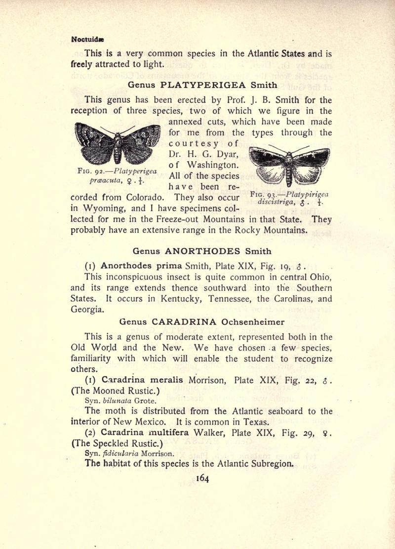 The moth book (Page 164, Figs. 92-93) BHL21853129