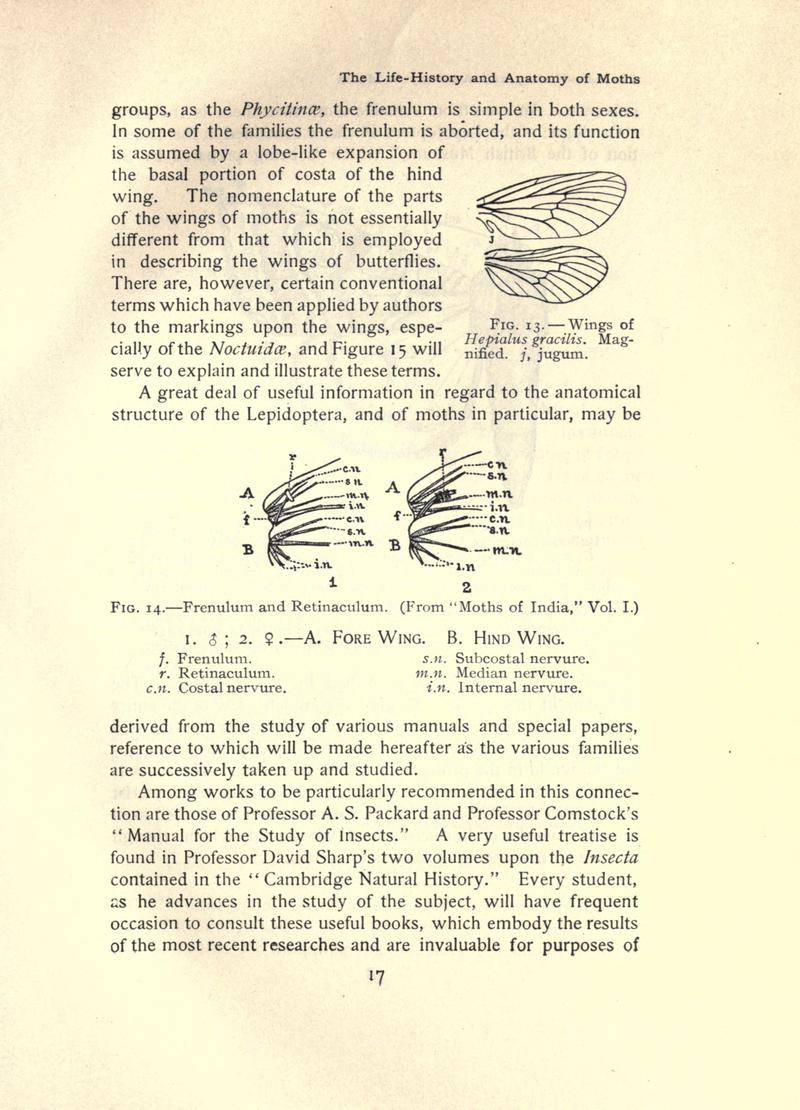 The moth book (Page 17, Figs. 13-14) BHL21852895