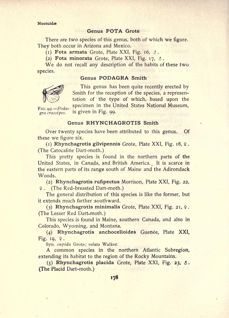 The moth book (Page 178, Fig. 99) BHL21853151