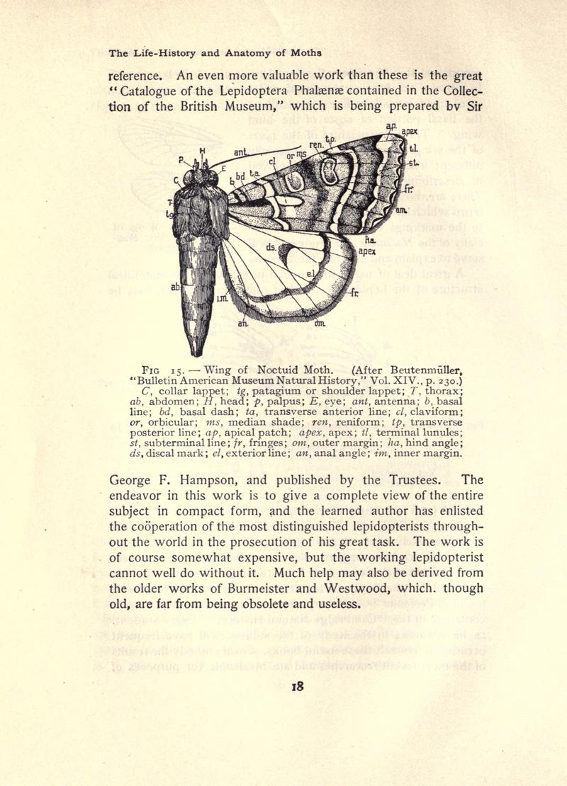 The moth book (Page 18, Fig. 15) BHL21852896