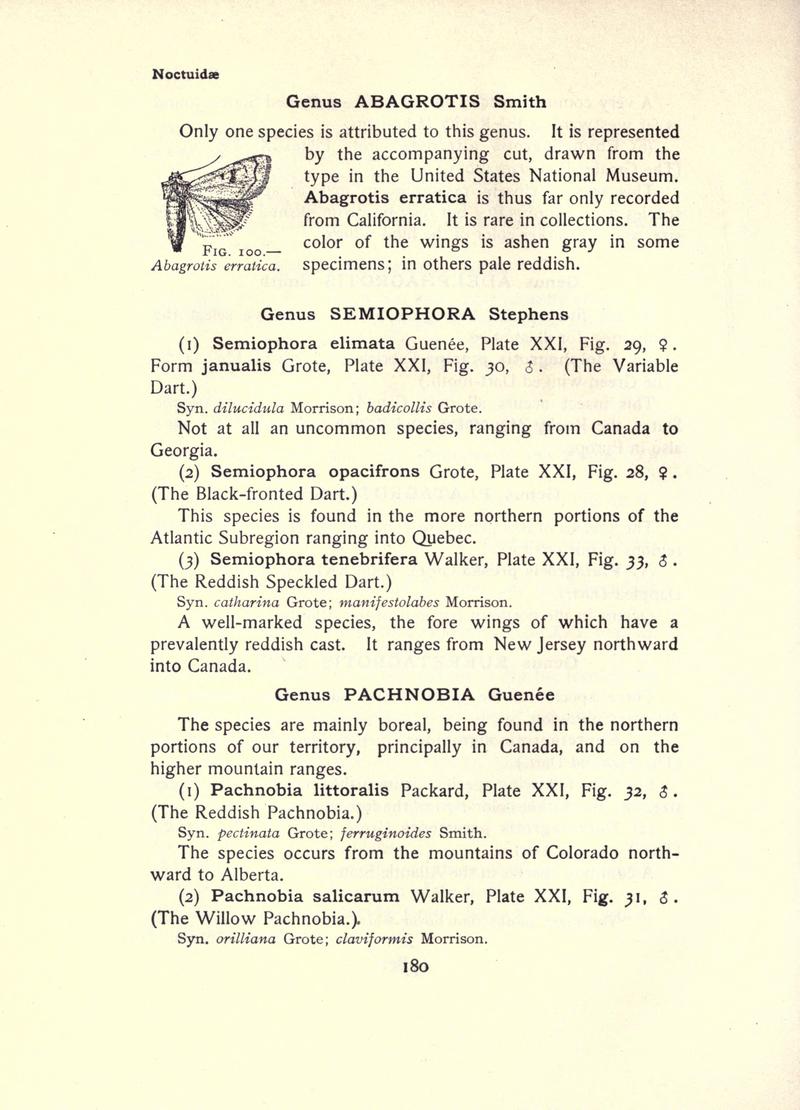 The moth book (Page 180, Fig. 100) BHL21853153