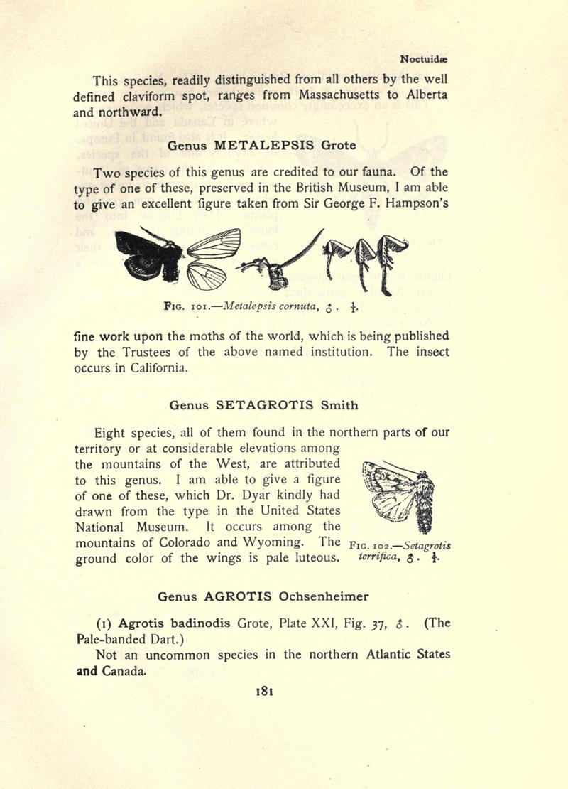 The moth book (Page 181, Figs. 101-102) BHL21853154