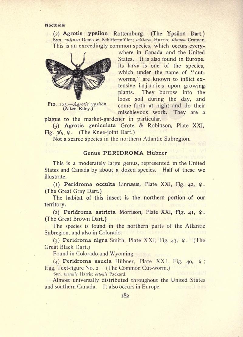 The moth book (Page 182, Fig. 103) BHL21853155