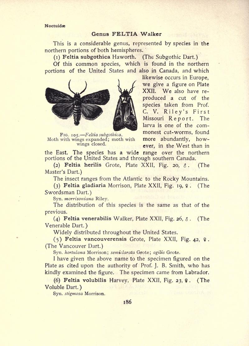 The moth book (Page 186, Fig. 105) BHL21853163