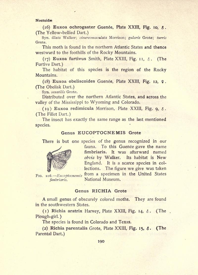 The moth book (Page 190, Fig. 106) BHL21853171