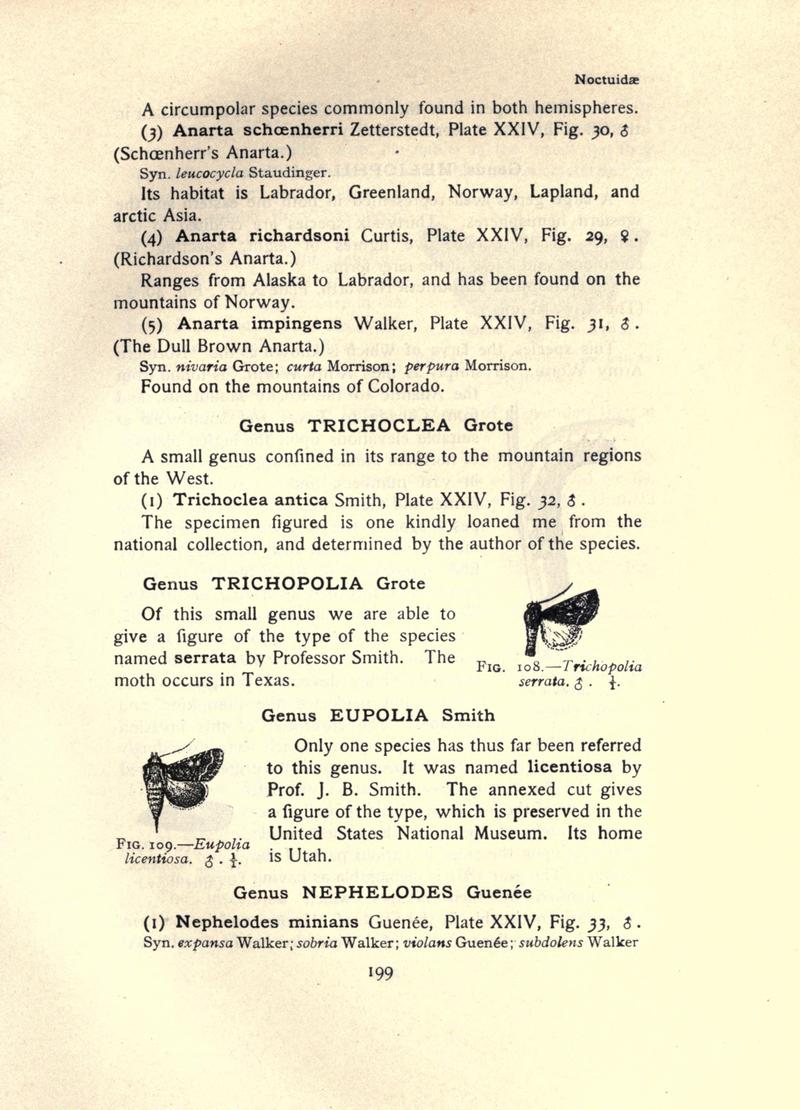 The moth book (Page 199, Figs. 108-109) BHL21853184
