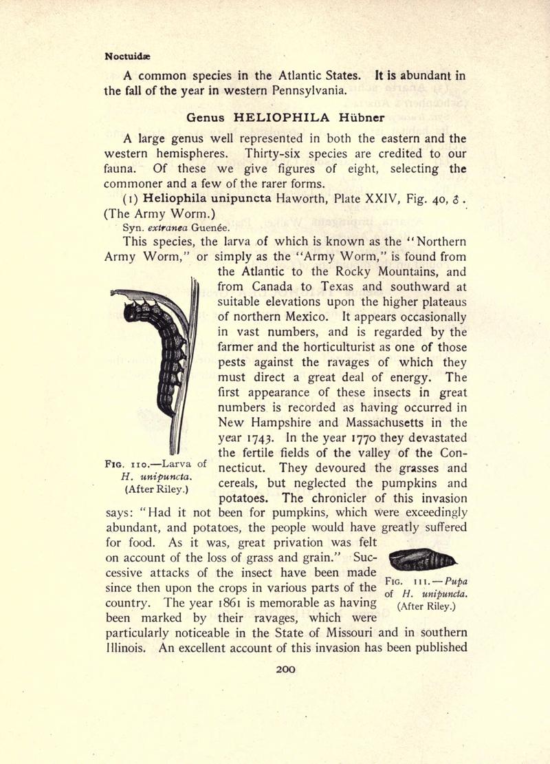 The moth book (Page 200, Figs. 110-111) BHL21853185