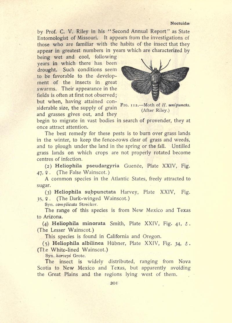 The moth book (Page 201, Fig. 112) BHL21853186