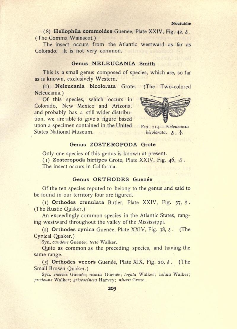 The moth book (Page 203, Fig. 114) BHL21853188