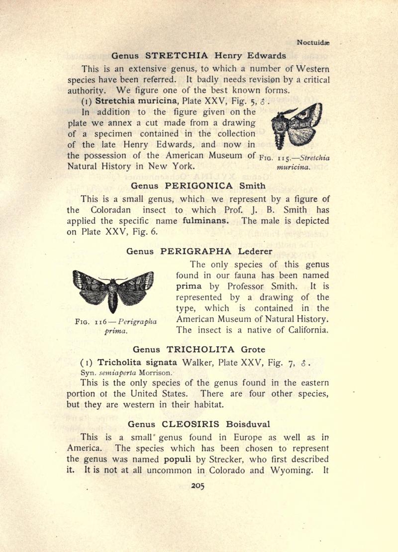The moth book (Page 205, Figs. 115-116) BHL21853194