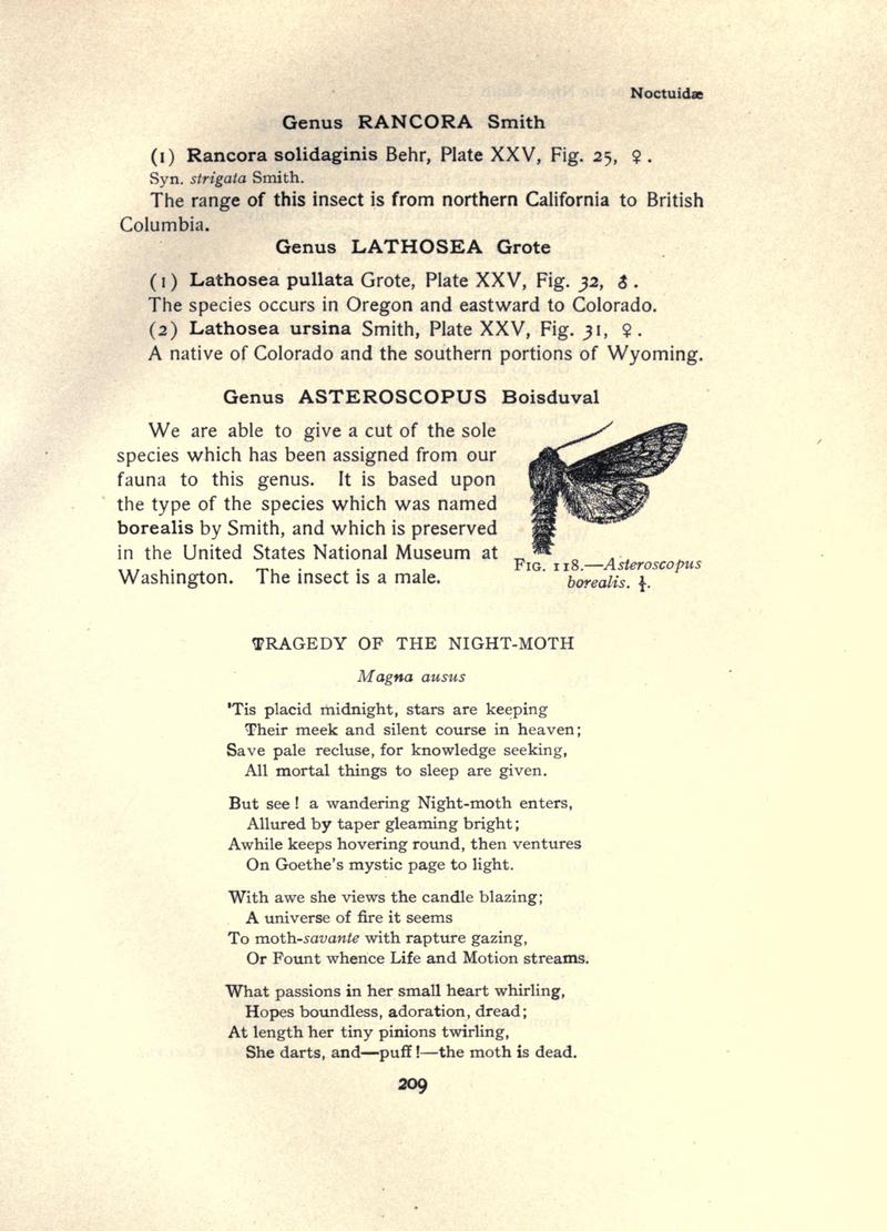The moth book (Page 209, Fig. 118) BHL21853198