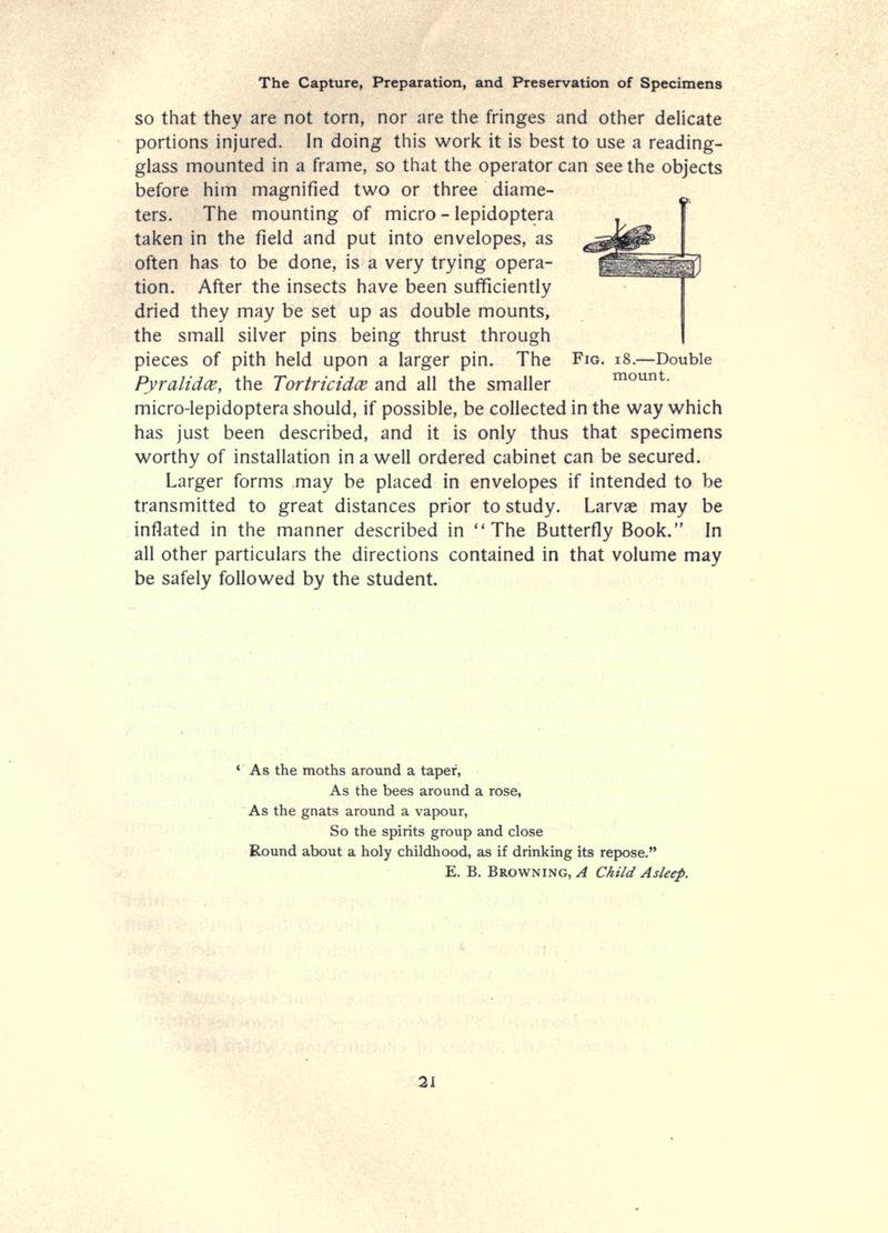 The moth book (Page 21, Fig. 18) BHL21852899