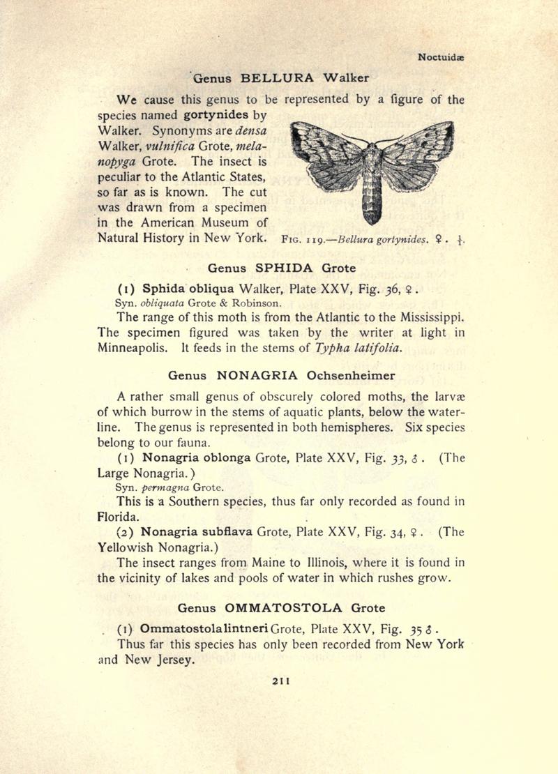 The moth book (Page 211, Fig. 119) BHL21853204