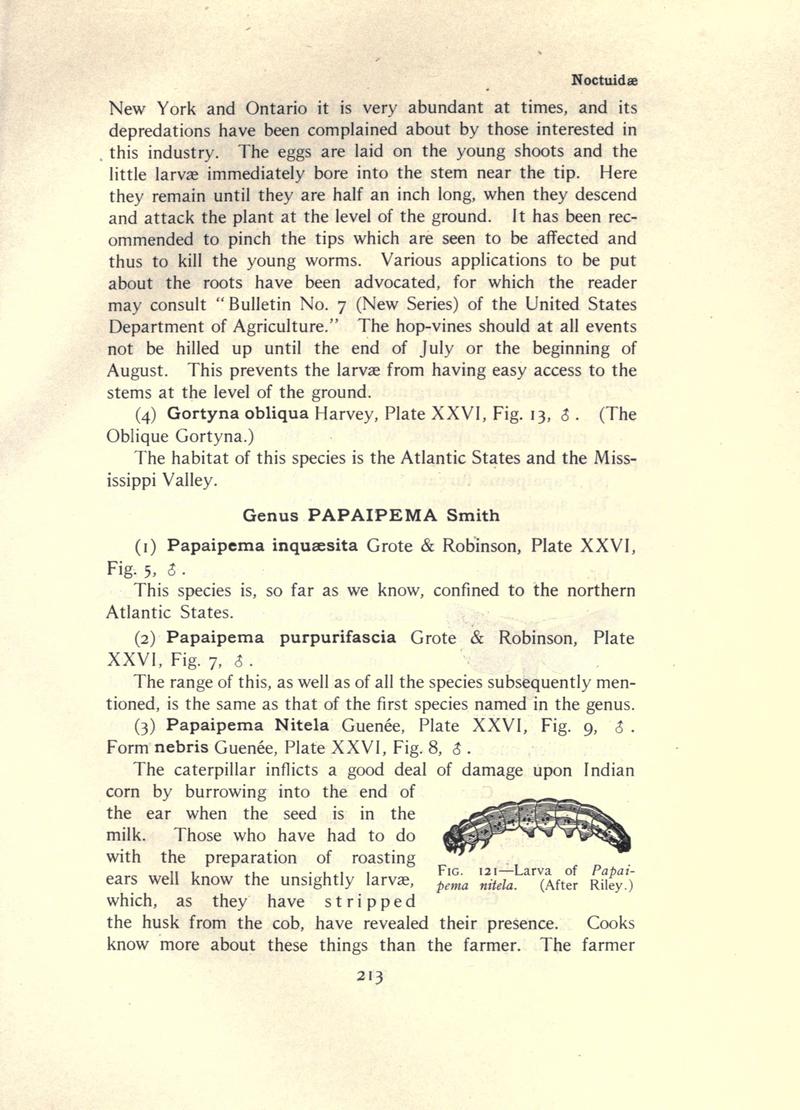The moth book (Page 213, Fig. 121) BHL21853206