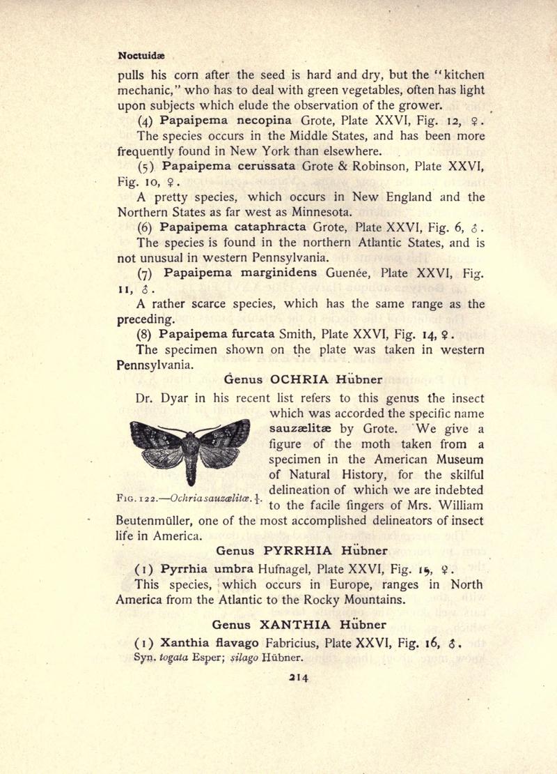 The moth book (Page 214, Fig. 122) BHL21853207