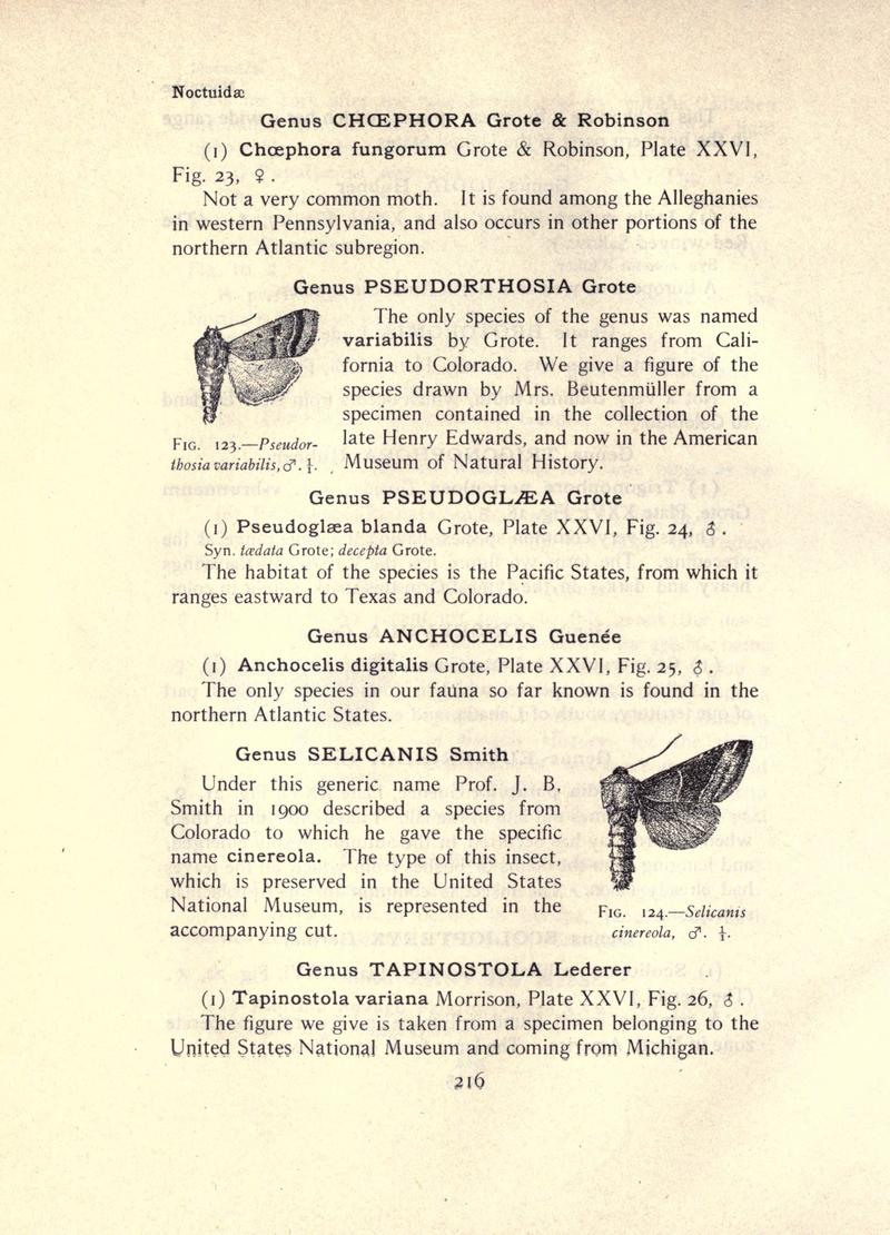 The moth book (Page 216, Figs. 123-124) BHL21853209