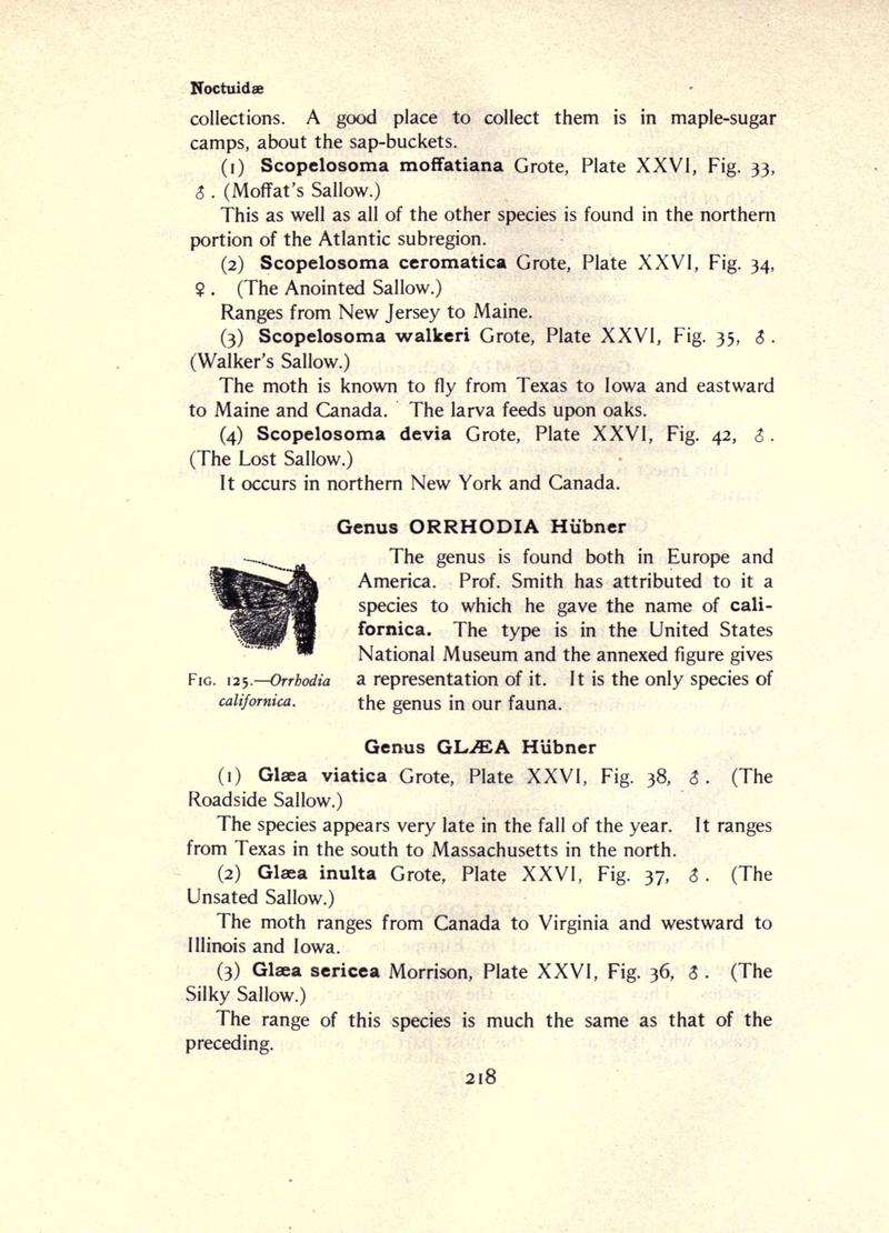 The moth book (Page 218, Fig. 125) BHL21853211