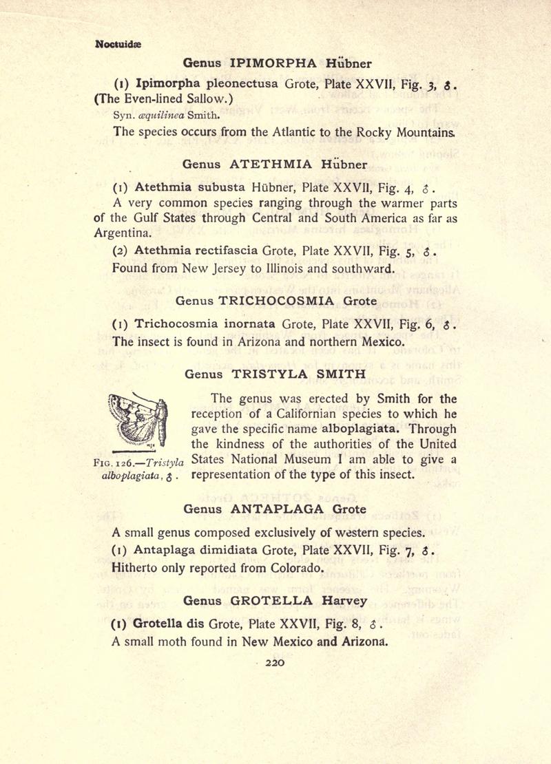 The moth book (Page 220, Fig. 126) BHL21853217