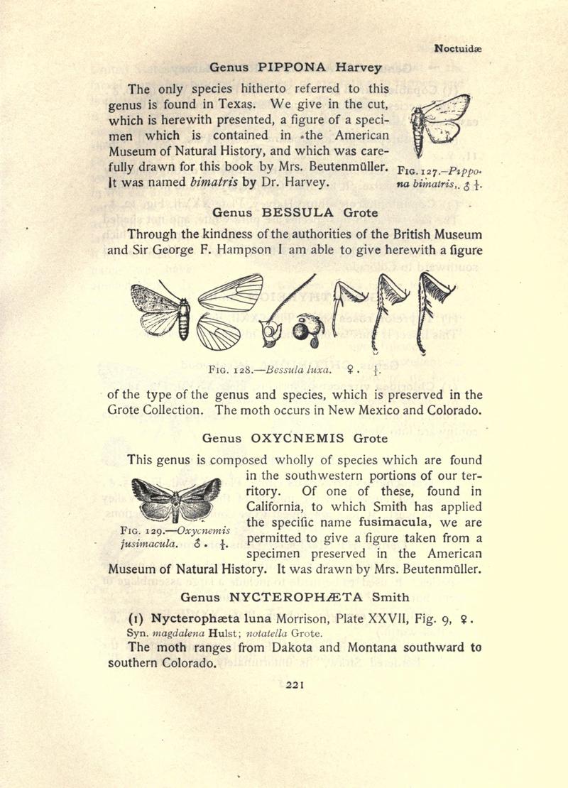 The moth book (Page 221, Figs. 127-129) BHL21853218
