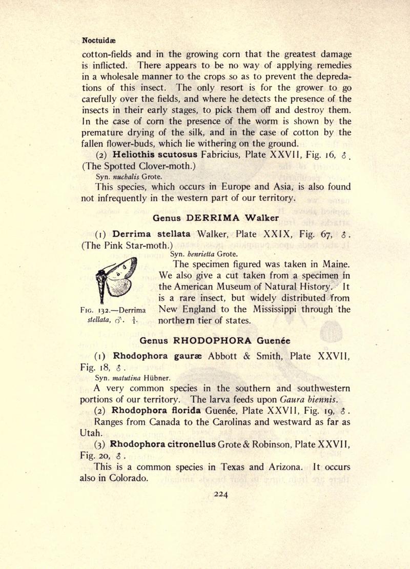 The moth book (Page 224, Fig. 132) BHL21853221