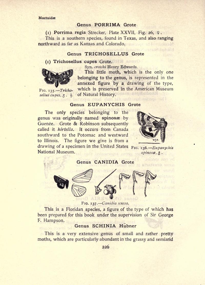 The moth book (Page 226, Figs. 135-137) BHL21853223