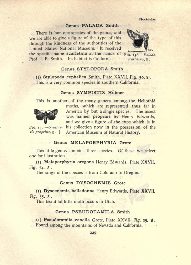 The moth book (Page 229, Figs. 138-139) BHL21853230