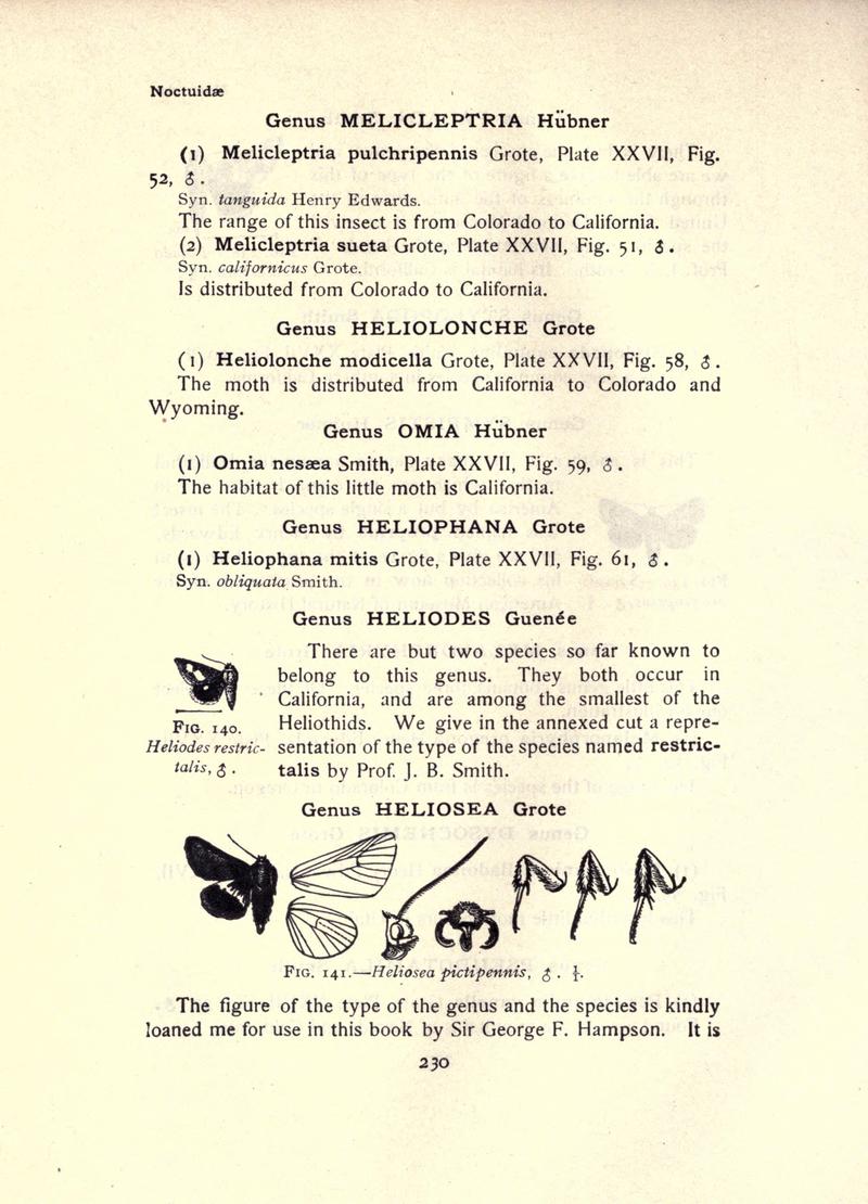The moth book (Page 230, Figs. 140-141) BHL21853231