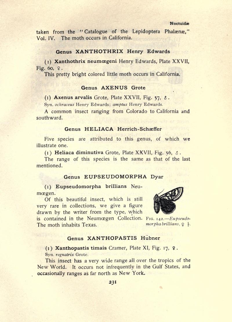 The moth book (Page 231, Fig. 142) BHL21853232