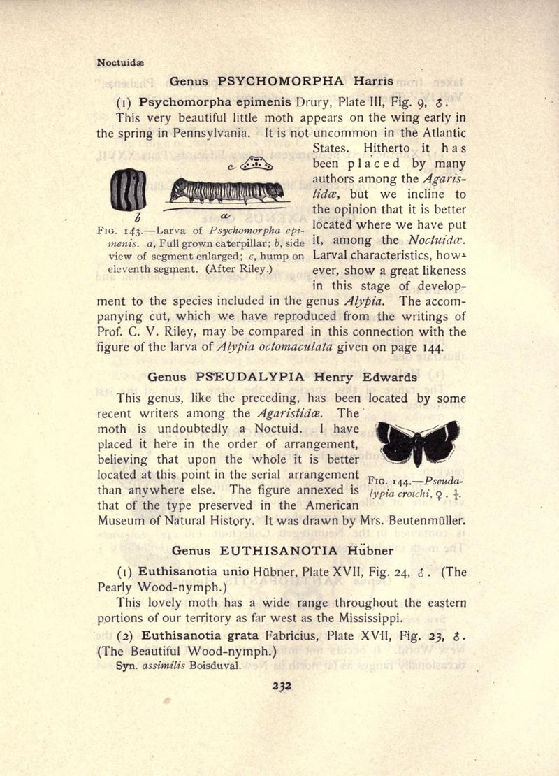 The moth book (Page 232, Figs. 143-144) BHL21853233