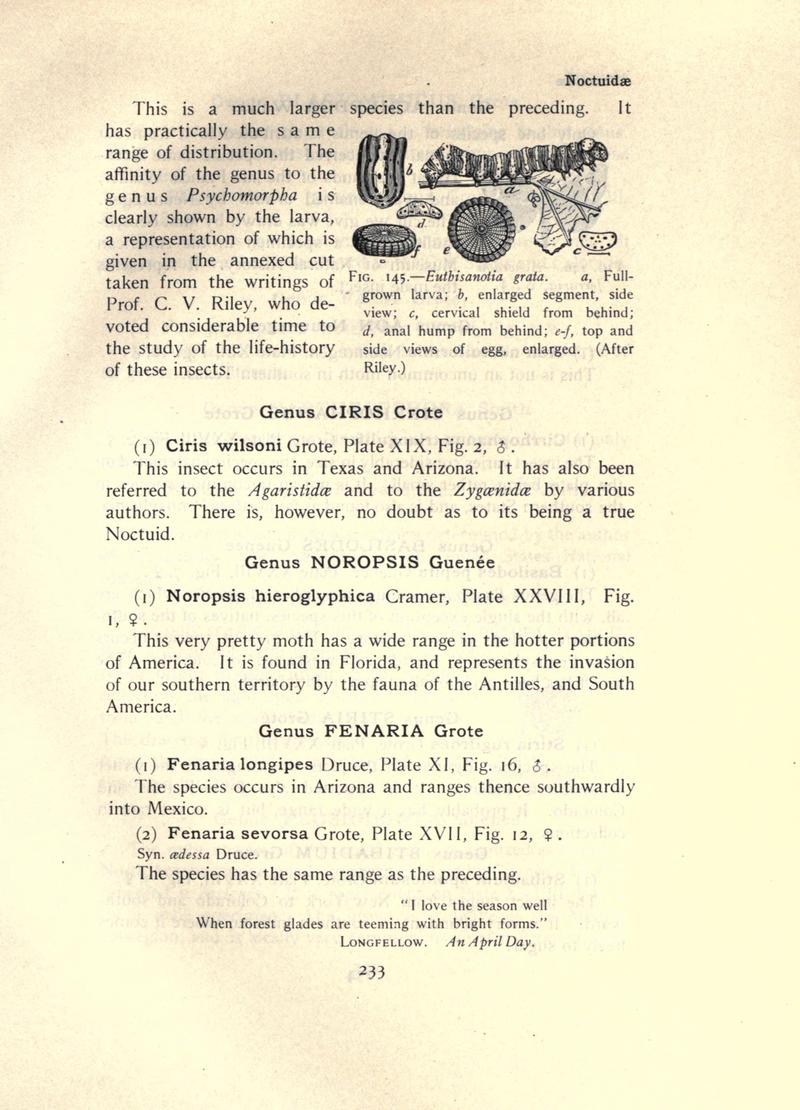 The moth book (Page 233, Fig. 145) BHL21853234