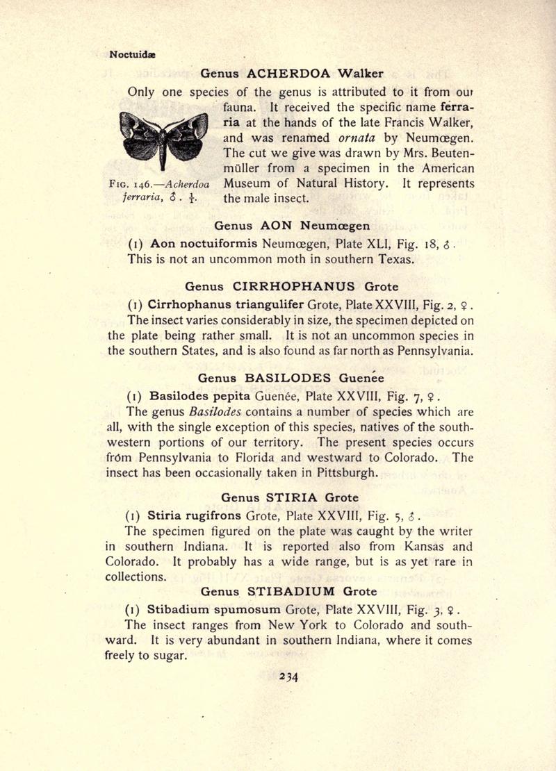 The moth book (Page 234, Fig. 146) BHL21853235