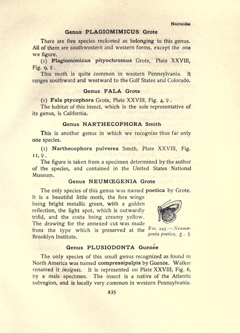 The moth book (Page 235, Fig. 147) BHL21853236