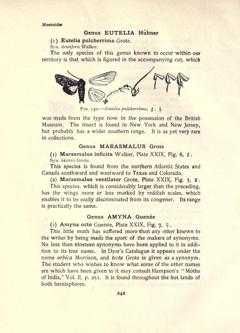 The moth book (Page 242, Fig. 150) BHL21853247