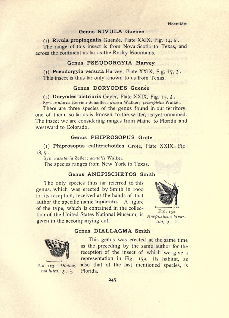 The moth book (Page 245, Figs. 152-153) BHL21853250