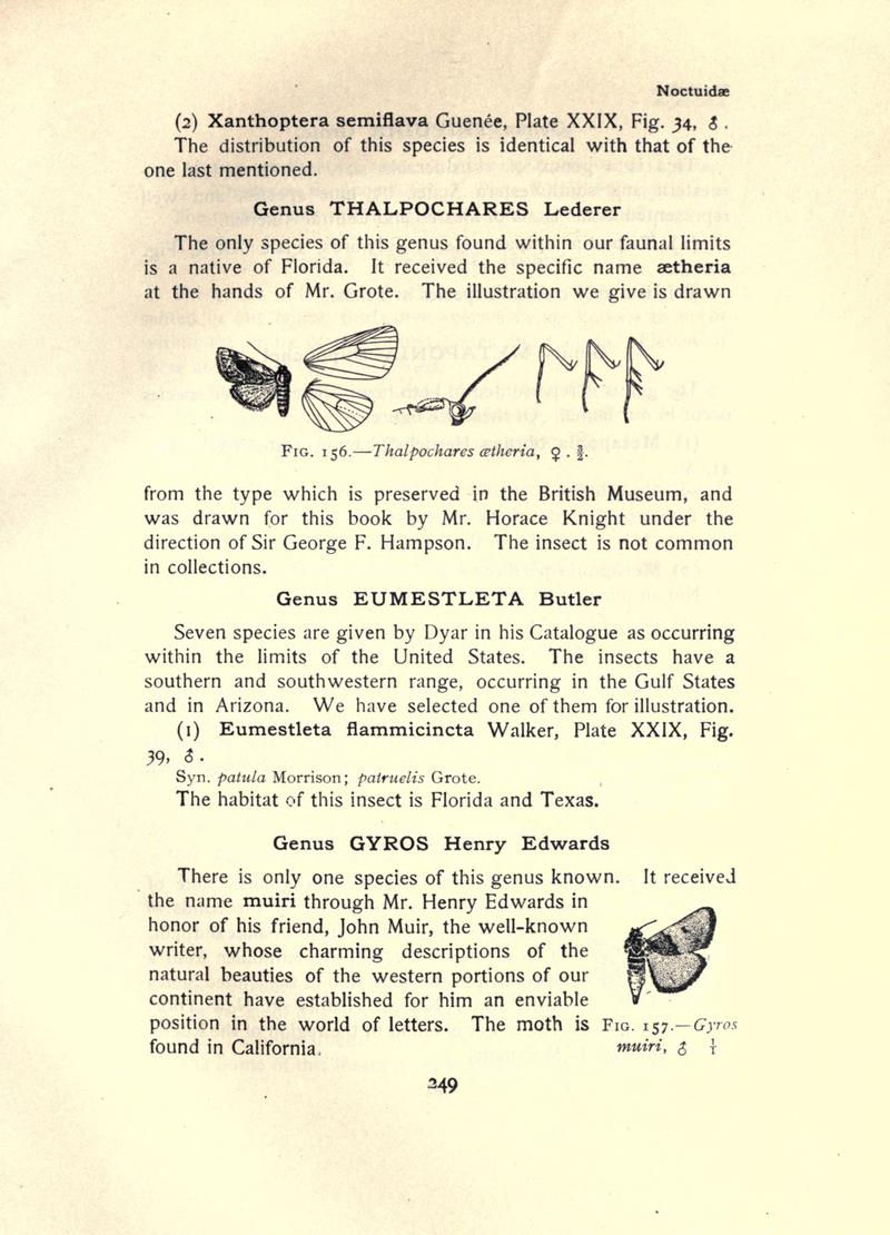 The moth book (Page 249, Figs. 156-157) BHL21853254