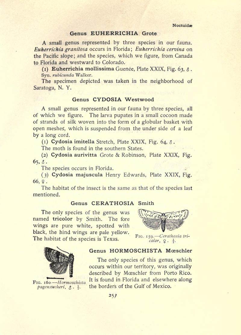 The moth book (Page 253, Figs. 159-160) BHL21853262