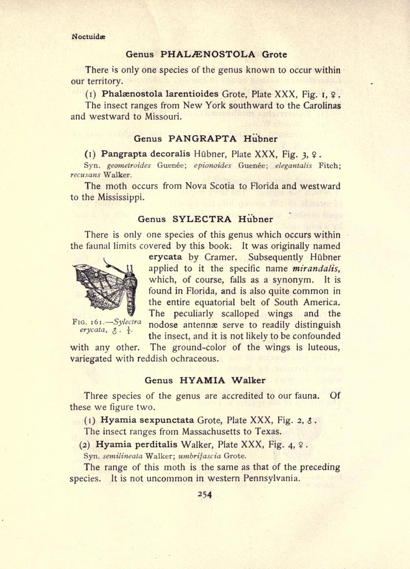 The moth book (Page 254, Fig. 161) BHL21853263