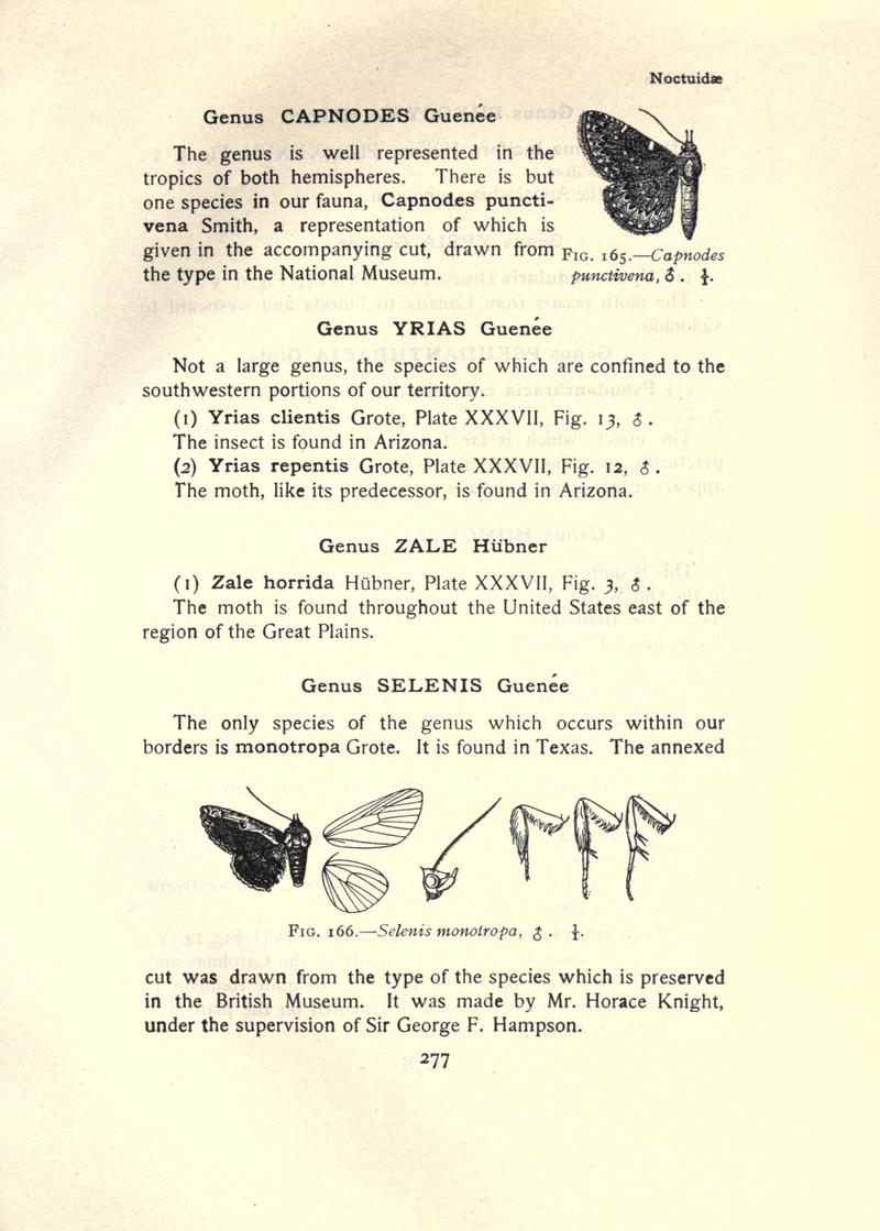 The moth book (Page 277, Figs. 165-166) BHL21853314